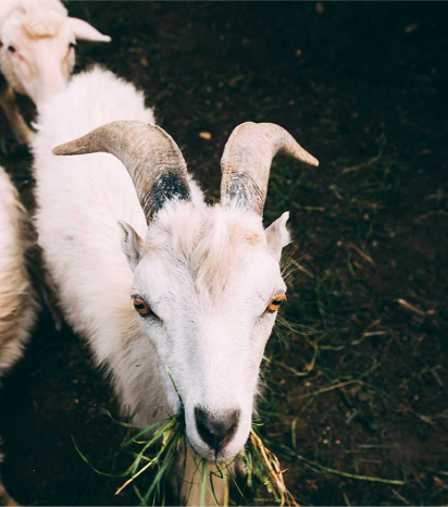 Gallery picture first